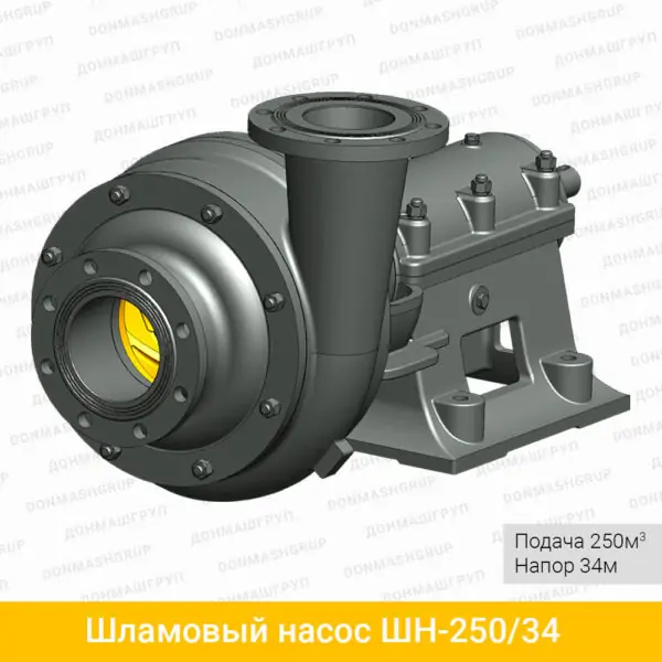 Изображение (3D модель) шламового насоса ШН-250/34 производства ДОНМАШГРУП