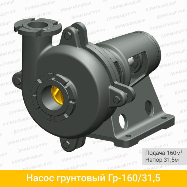 Изображение (3D модель) горизонтального грунтового насоса Гр 160/31,5 производства ДОНМАШГРУПП