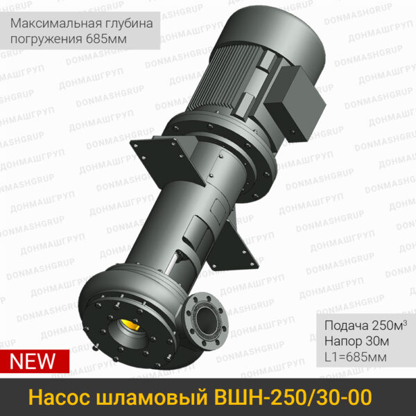 Изображение нового вертикального шламового насоса ВШН-250/30-00 L1=685 производства ДОНМАШГРУПП