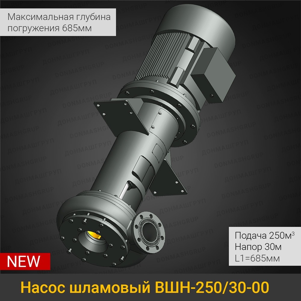 Изображение нового вертикального шламового насоса ВШН-250/30-00 L1=685 производства ДОНМАШГРУПП