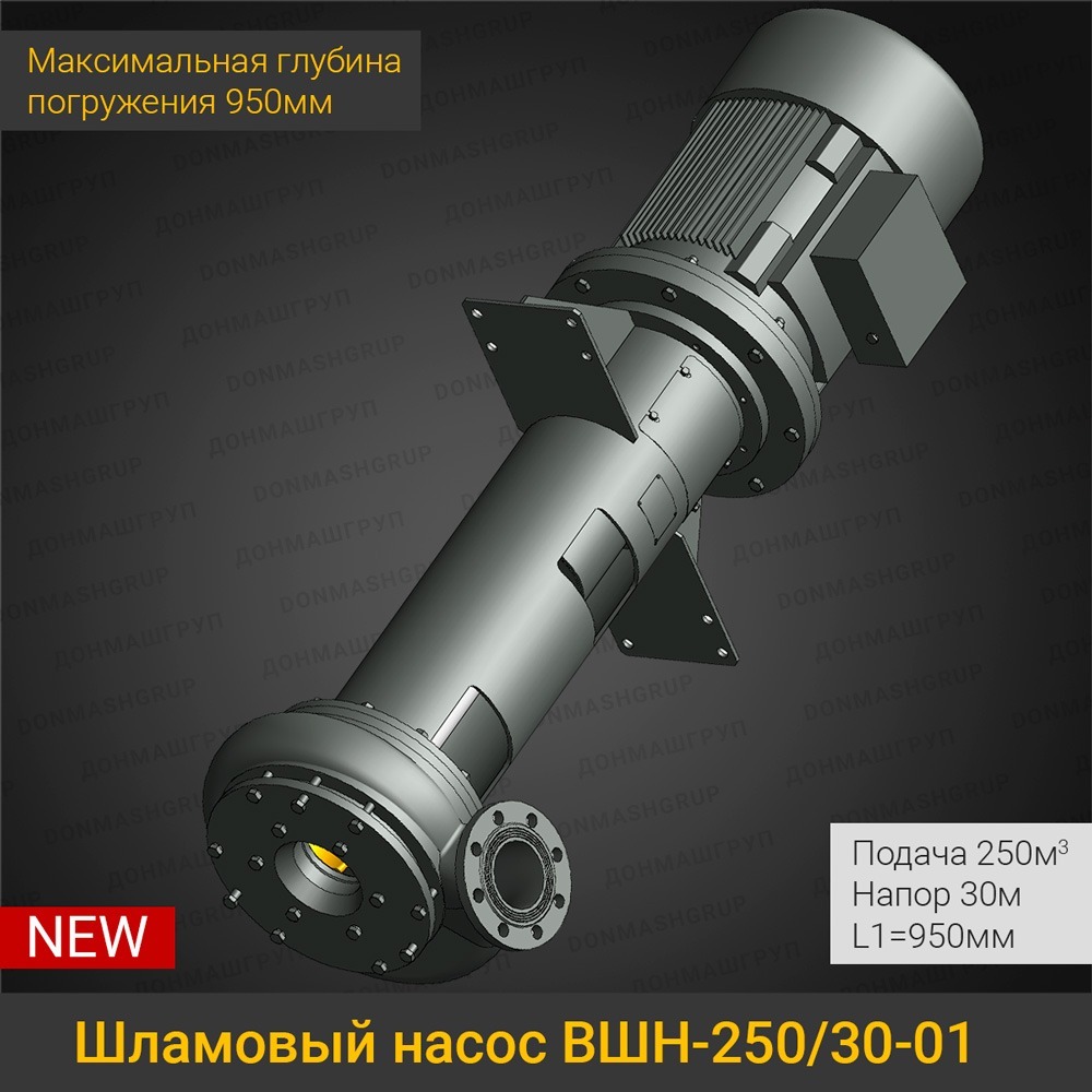 Изображение вертикального полупогружного шламового насоса ВШН-250/30-01 L1=950 производства ДОНМАШГРУПП